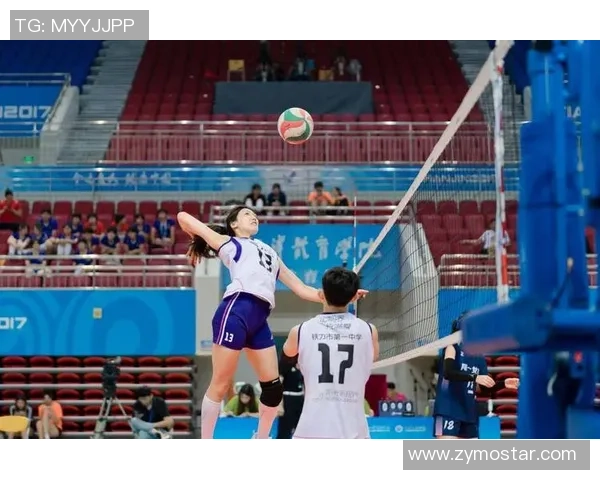 重庆排球队的转型之路：从传统到现代的排球纪实探索与反思